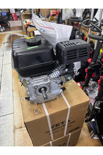 Veta 7 HP MOTOR - 3