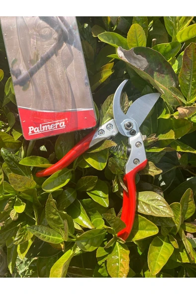 Palmera PA-PS20 BUDAMA MAKASI - 2
