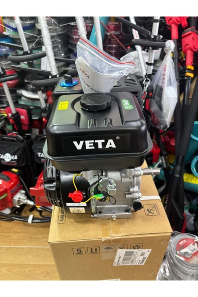 Veta 7 HP MOTOR - 2