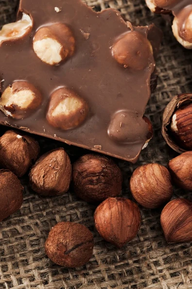 ÇİKOLATA ARTİZAN SÜTLÜ FINDIKLI 40GR - 2