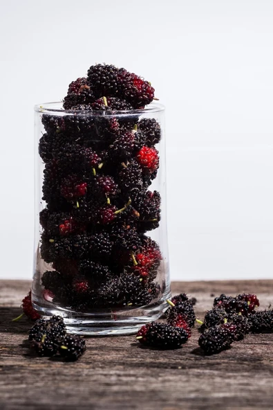 KARADUT ÖZÜ BEYBEYBİ 260 GR - 2