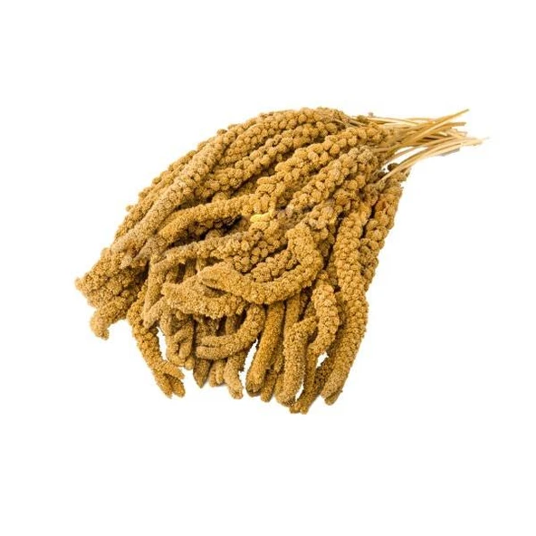 EuroGold İthal Sarı Dal Darı 1 Kg ürün görseli