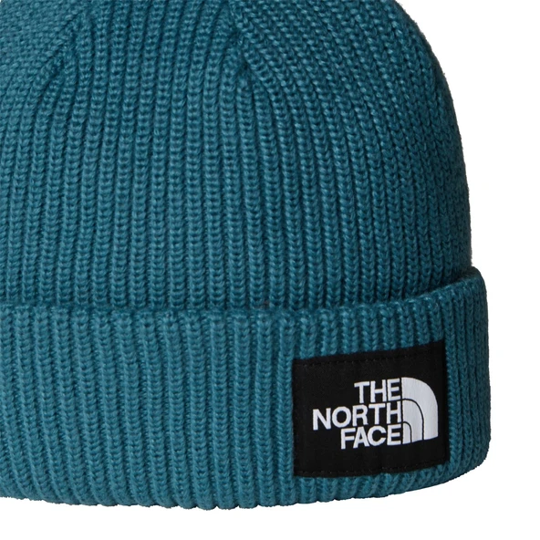 The North Face SALTY LINED BEANIE Unisex Bere NF0A8CGZBQ51 - Resim 2