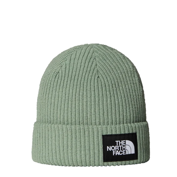 The North Face SALTY LINED BEANIE Unisex Bere NF0A8CGZBQ11 ürün görseli 1