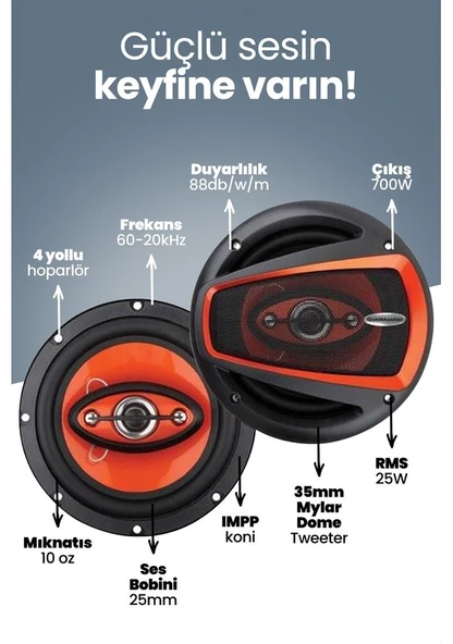 Goldmaster Rm-1694 4 Way 700 Watt Oto Hoparlör - 3