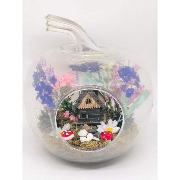 Minikkuş Tasarım Keyif Bahçem Teraryum - Resim 3