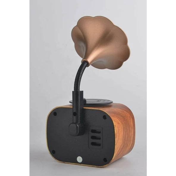 By Store Forland B5 Nostaljik Mini Radyo Gramofon Bluetooth Hoparlör Fm USB Sd Yüksek Ses Speaker B5 - Resim 3