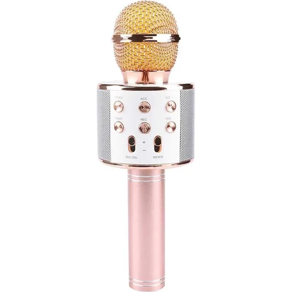 Bi Dünya İletişim Blıc Karaoke Mikrofonu - 3