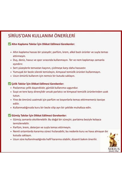 925 Ayar Gümüş Kemik Choker Kolye - 6