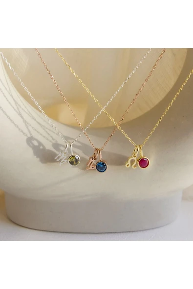 925 Gümüş | Doğum Taşını ve Burcunu Seç Kolye - Resim 2