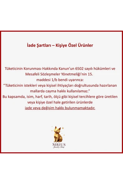 925 Gümüş | Üç Boyutlu Taşlı Harf Kolye - Resim 7