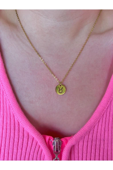 316L Çelik Boğa Burcu Kolyesi ürün görseli 1