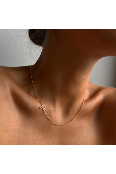 925 Ayar Gümüş Köprücük Zirkon Taşlı Burç Kolye ürün görseli 1