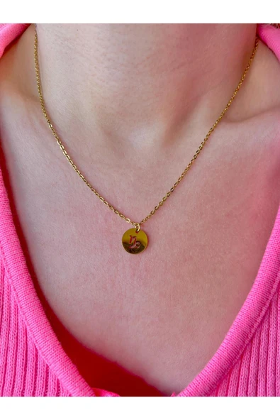 316L Çelik Oğlak Burcu Kolye ürün görseli 1