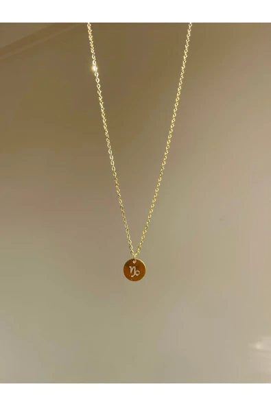 316L Çelik Oğlak Burcu Kolye - Resim 2