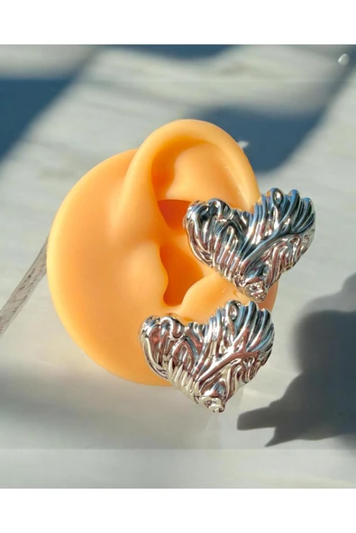 316L Çelik Kalp Küpe ürün görseli 1