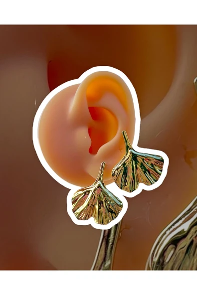 316L Çelik Whale Küpe ürün görseli 1