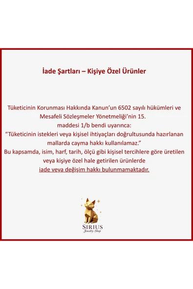 925 Ayar Gümüş Hamsa Chocker Kolye - 3