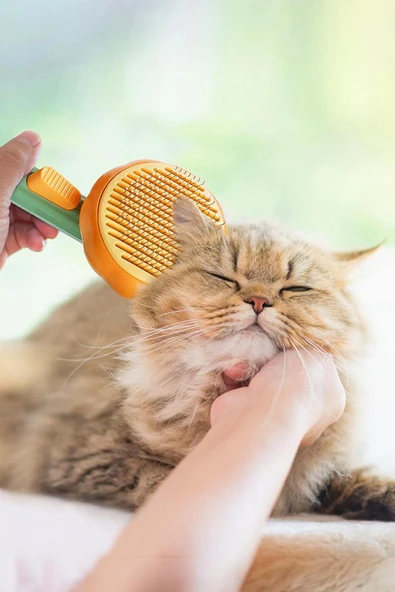 Balkabağı Tasarımlı Otomatik Temizlenen Tuşlu Evcil Hayvan Fırçası Kedi Köpek Tüy Toplayıcı Tarak - 4