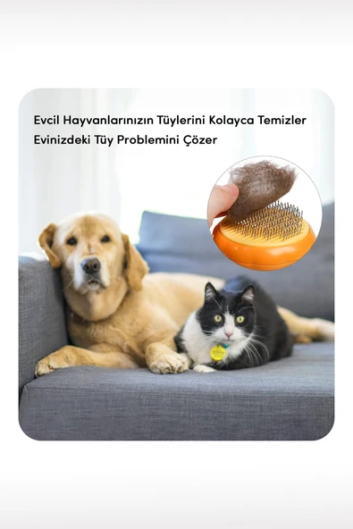 Balkabağı Tasarımlı Otomatik Temizlenen Tuşlu Evcil Hayvan Fırçası Kedi Köpek Tüy Toplayıcı Tarak - 5