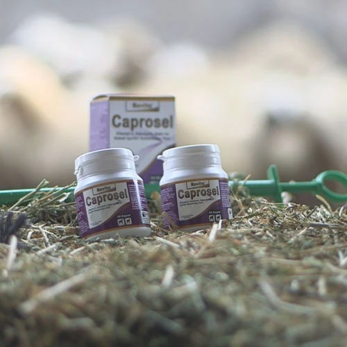 Royal İlaç Rovita Caprosel 50 Capsul Kuzular Için Selenyum Ve E Vitamini Takviyesi - 2