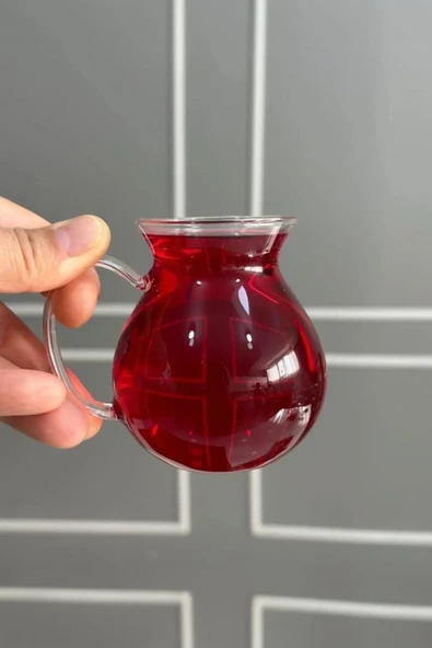 6'lı Keyfi Ala Borosilikat Sorelis Cam Kulplu Çay Bardağı 210ml Bardak