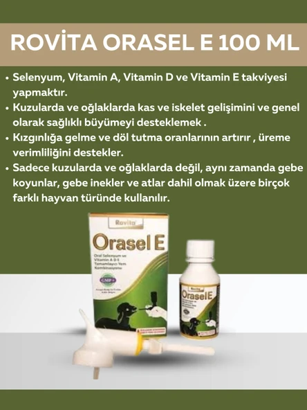 Royal Rovita Orasel E 100ml ürün görseli