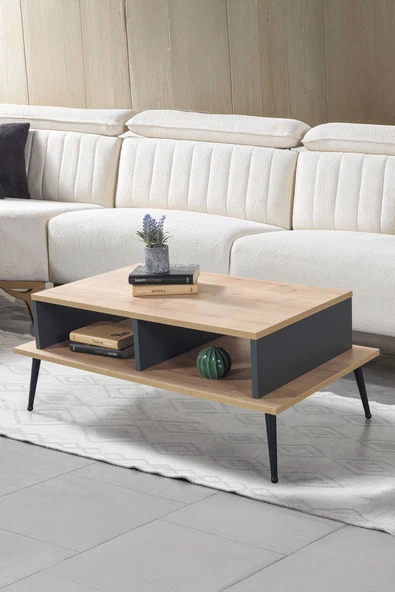 Evmo Home 2009 Şile Metal Ayaklı Orta Sehpa , Salon Sehpası Safir Antrasit - 1