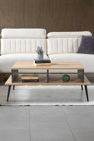 Evmo Home 2009 Şile Metal Ayaklı Orta Sehpa , Salon Sehpası Safir Antrasit - 2