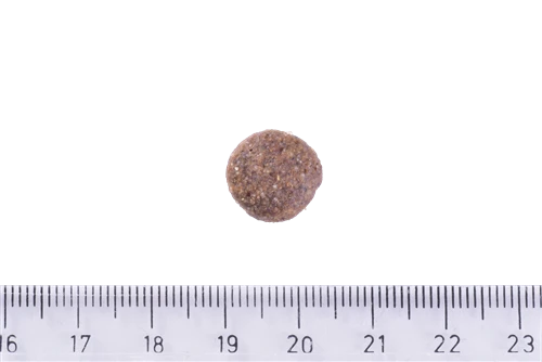 Brit Care Deri Ve Tüy Hassasiyeti Olan, Yetişkin Köpekler İçin, Tahılsız, Somonlu Kuru Mama 12 kg - Resim 3