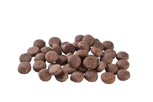 Brit Care Deri Ve Tüy Hassasiyeti Olan, Yetişkin Köpekler İçin, Tahılsız, Somonlu Kuru Mama 12 kg - Resim 2