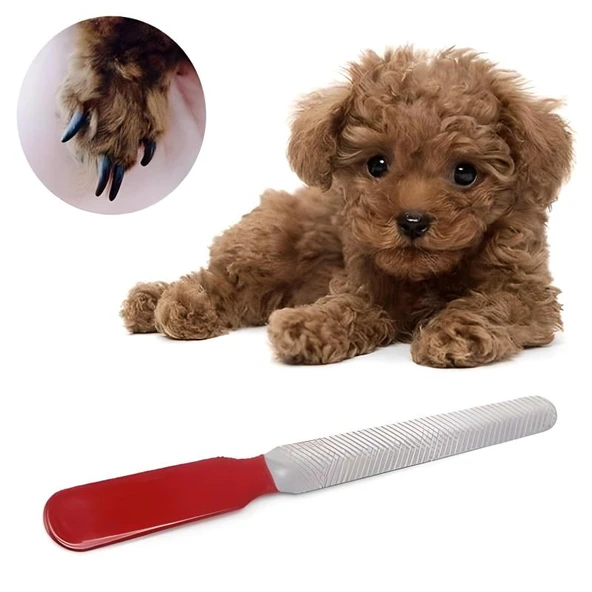 Evcil Hayvan Tırnak Makası Ve Törpü Seti Manikür Pedikür Pati Bakım Aleti Kaymaz Sap - 2