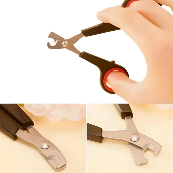 Evcil Hayvan Tırnak Makası Ve Törpü Seti Manikür Pedikür Pati Bakım Aleti Kaymaz Sap - 5