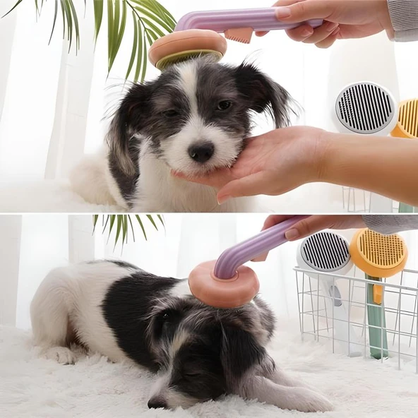 Plastik Yeşil Evcil Hayvan Bakım Pet Fırçası Çok Amaçlı Pet Fırçası Yeşil - Resim 4