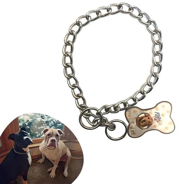 65 cm Uzunlukta Zincir Model Köpek İçin Boyun Tasması ürün görseli
