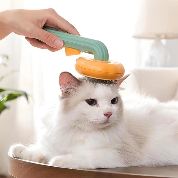 Plastik Yeşil Evcil Hayvan Bakım Pet Fırçası Çok Amaçlı Pet Fırçası Yeşil - Resim 3