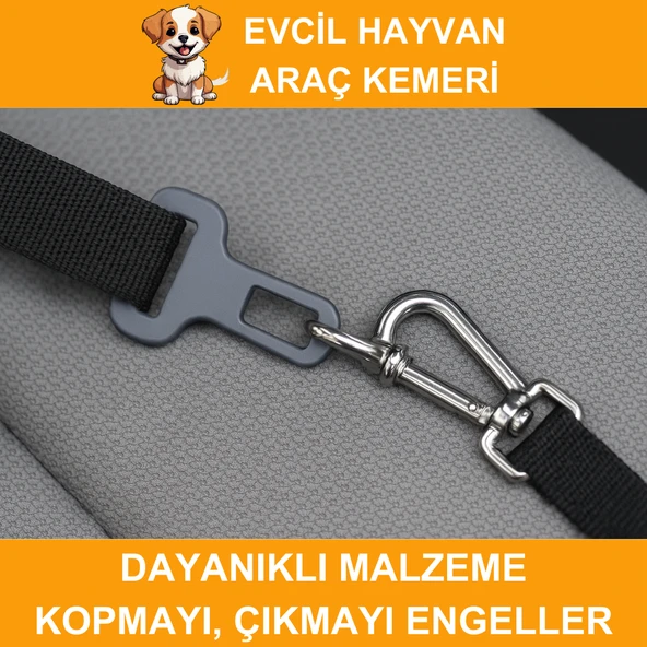 Beylini Köpek Araç Emniyet Kemeri Dayanıklı Kopmaz İp Toka Güvenli Rahat Kedi Köpek Emniyet Kemeri 80 CM - 3