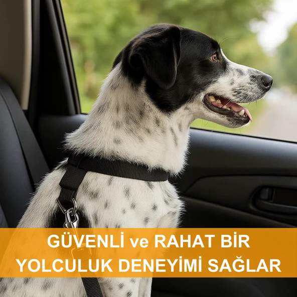 Beylini Köpek Araç Emniyet Kemeri Dayanıklı Kopmaz İp Toka Güvenli Rahat Kedi Köpek Emniyet Kemeri 80 CM - 4