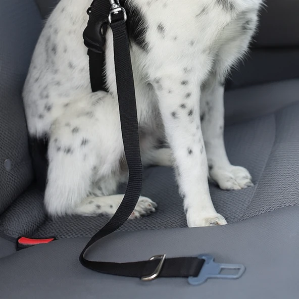 Beylini Köpek Araç Emniyet Kemeri Dayanıklı Kopmaz İp Toka Güvenli Rahat Kedi Köpek Emniyet Kemeri 80 CM - 2