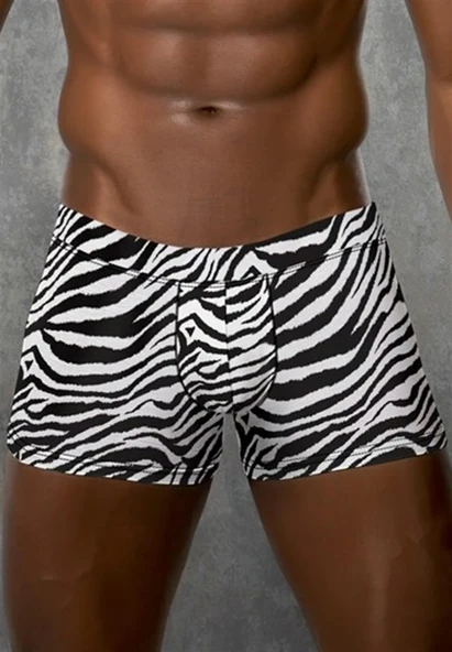Doreanse 1814 Zebra Desenli Modal Erkek Boxer - Resim 2