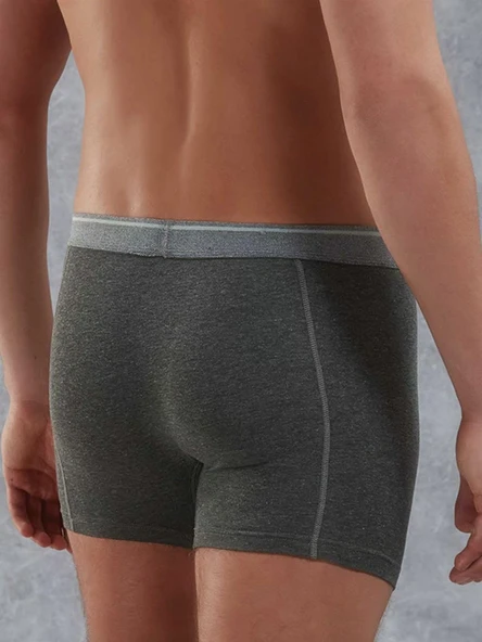 Doreanse 1756 Antrasit Modal Erkek Boxer - Resim 4