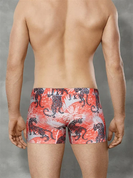 Doreanse 1709 Exotiger Desenli Modal Erkek Boxer - Resim 4