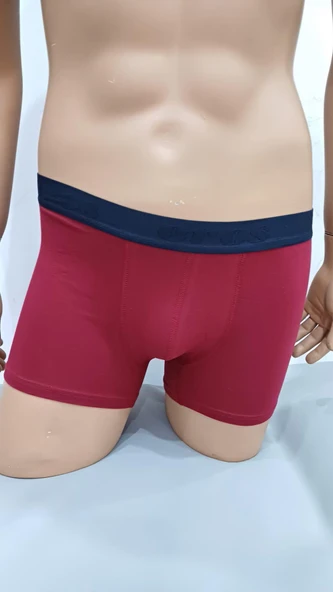 Eros 121 3'Lü Paket Likralı Erkek Boxer - Resim 3