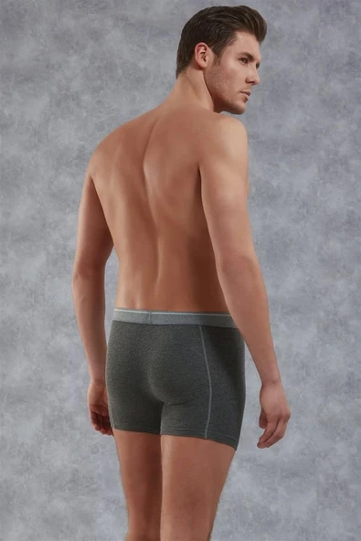 Doreanse 1756 Antrasit Modal Erkek Boxer - Resim 2