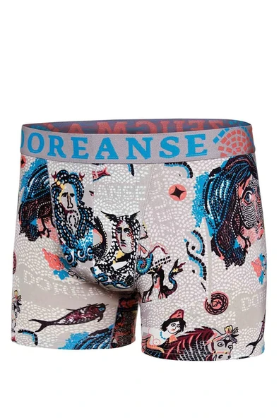 Doreanse 1806 Zeugma Desenli Modal Erkek Boxer - Resim 2