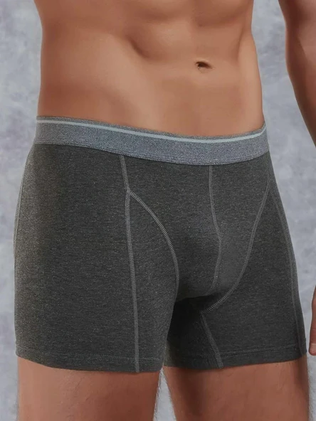 Doreanse 1756 Antrasit Modal Erkek Boxer - Resim 3