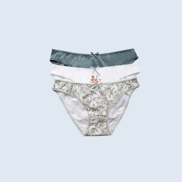 Pierre Cardin 2700 Wild Flowers 3'Lü Ekonomik Paket Pamuklu Basic Brief Külot ürün görseli 1