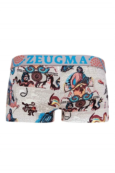 Doreanse 1701 Erkek Modal Baskılı Torbalı Renkli Mini Paça Boxer RENKLİ ürün görseli 1