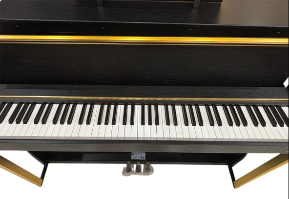 BRAHNER DIJITAL PIYANO BR-11 BK - Resim 2