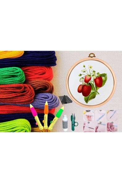 Punch Seti Nakış Seti Kasnaklı Kendin Yap Seti Seri 8 ürün görseli